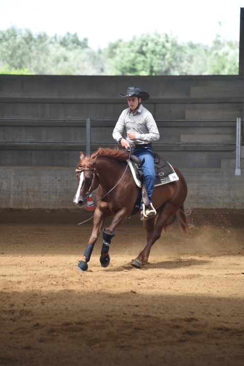 3 show ACRP 2026 - PAGNELLI FRANCESCO &amp; FROZEN ROOSTER FLASH score 68,5
