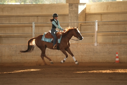 4 show ACRP 2026 - DAMONE MARIAPAOLA &amp; FD OAK BUENA score 67