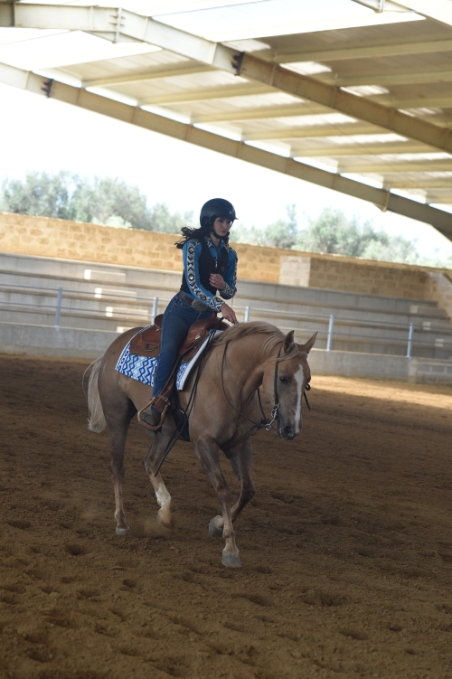 3 show ACRP 2026 - DAMONE MARIAPAOLA &amp; DF MISS HOLLYWOOD score 70,5