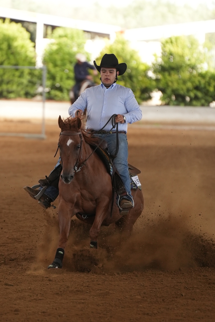 6 show ACRP 2026 - MEULI GIULIO ANTONIO &amp; GD REMEDY PLANET score 66