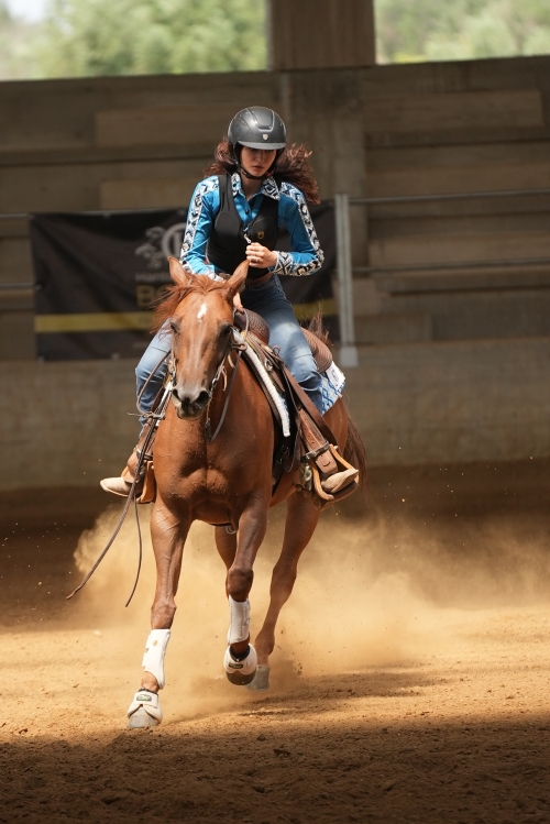 4 show ACRP 2026 - DAMONE MARIAPAOLA &amp; FD OAK BUENA score 68
