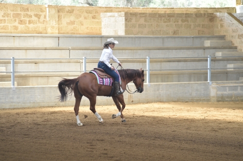 3 show ACRP 2026 - DE LAURENTIIS ANTONIA &amp; BH A CHIC IN CROME score 70,5