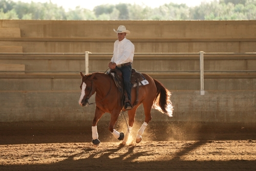 3 show ACRP 2026 - TROVE' CORRADO &amp; NT SMART ROOSTERINA score 69