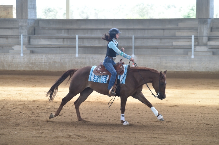 3 show ACRP 2026 - DAMONE MARIAPAOLA &amp; FD OAK BUENA score 70