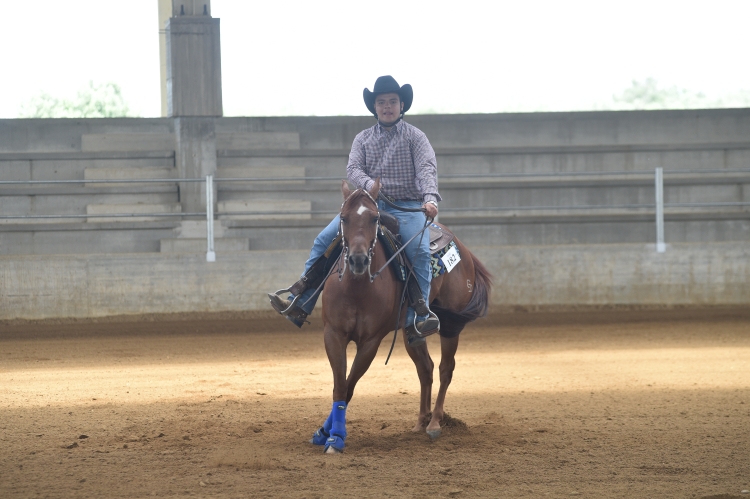3 show ACRP 2026 - MEULI GIULIO ANTONIO &amp; GD REMEDY PLANET score 69