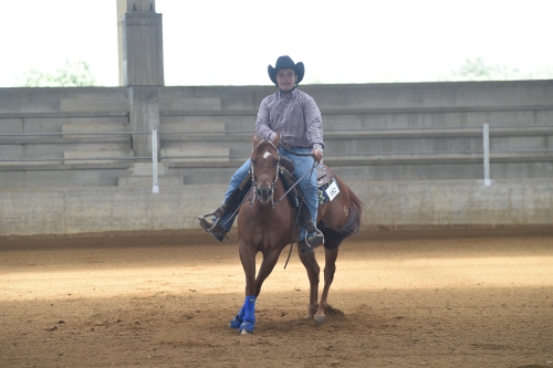 3 show ACRP 2026 - MEULI GIULIO ANTONIO &amp; GD REMEDY PLANET score 69