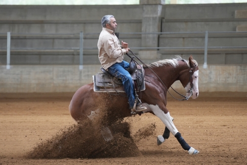 5 show ACRP 2026 - BUONO GIUSEPPE &amp; RM FIRSTGUN score 67,5