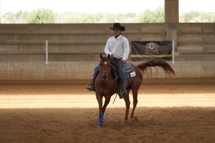 4 show ACRP 2026 - MEULI GIULIO ANTONIO &amp; GD REMEDY PLANET score 68