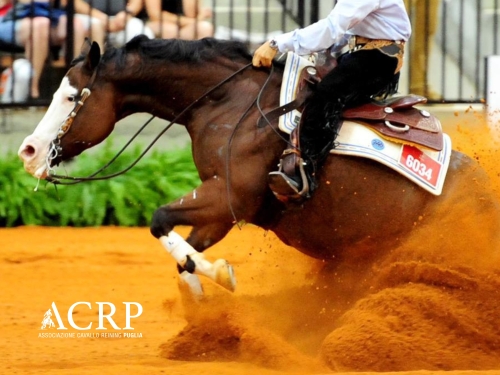 Risultati sabato 4 show ACRP-IRHA-FISE-NRHA 2026