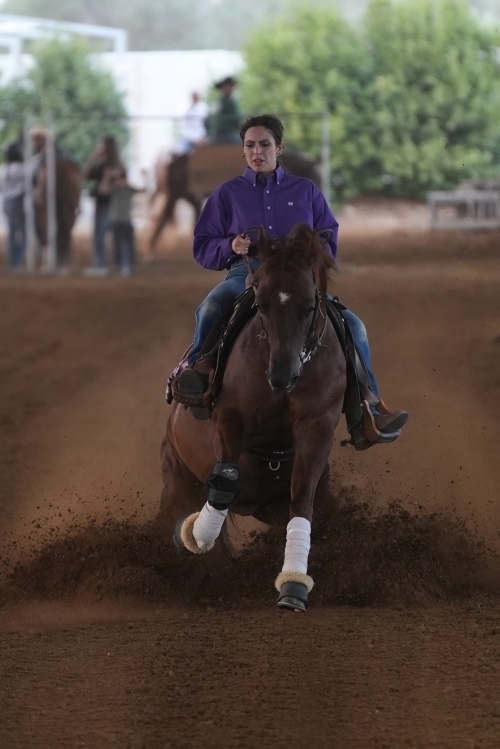 5 show ACRP 2026 - GAROFOLI ANGELA &amp; CM BUENO TORIMA JAC score 70