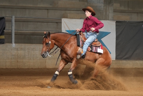 5 show ACRP 2026 - MONTEMURRO VINCENZO &amp; MISTER FRANKY PARROT score 68,5