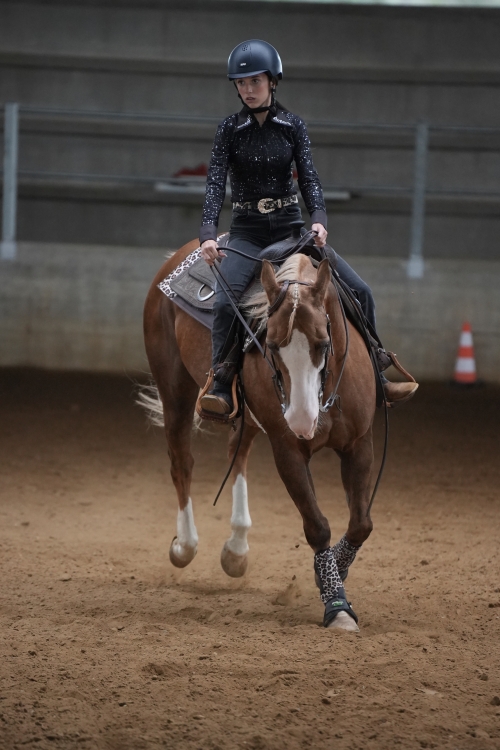 6 show ACRP 2026 - RUTIGLIANO CRISTINA &amp; COUNTY BLUE OAK score 68