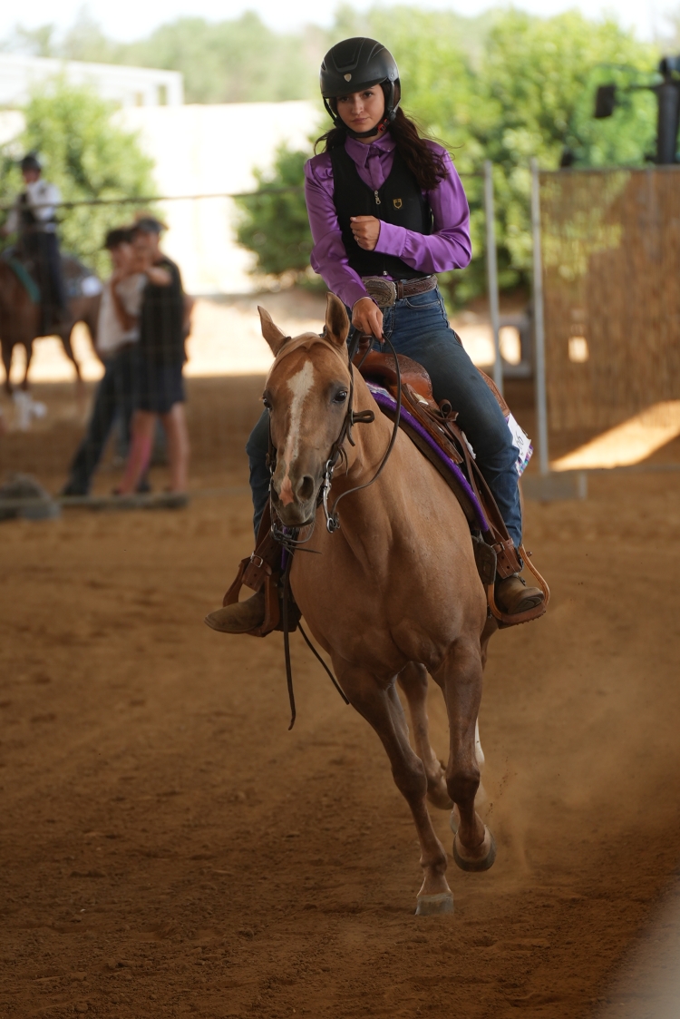 4 show ACRP 2026 - DAMONE MARIA PAOLA &amp; DF MISS HOLLYWOOD DEL GALLO score 75