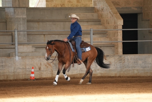 3 show ACRP 2026 - CAVALLO MODESTO &amp; SPADINO score 66,5