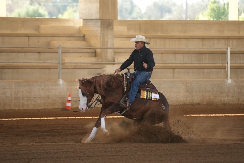 3 show ACRP 2026 - MUSARO' ANTONIO &amp; SUGARLITTLEMAJESTIC score 69,5