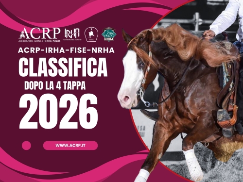 Classifica dopo il 4 show ACRP-IRHA-FISE-NRHA 2026