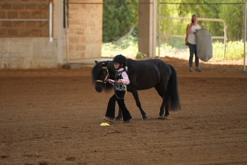 4 show ACRP 2026 - SPINA MARIAROSARIA &amp; ZITA score 70,5