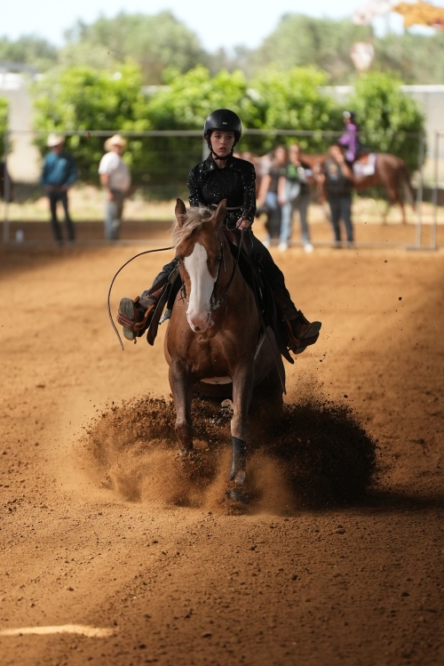 3 show ACRP 2026 - RUTIGLIANO CRISTINA &amp; COUNTY BLUE OAK score 69,5