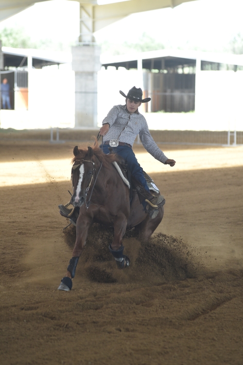 3 show ACRP 2026 - PAGNELLI FRANCESCO &amp; FROZEN ROOSTER FLASH score 70