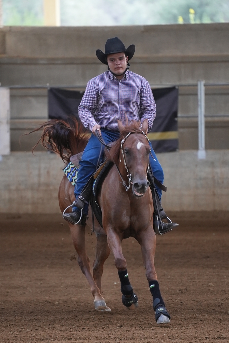 5 show ACRP 2026 - MEULI GIULIO ANTONIO &amp; GD REMEDY PLANET score 68