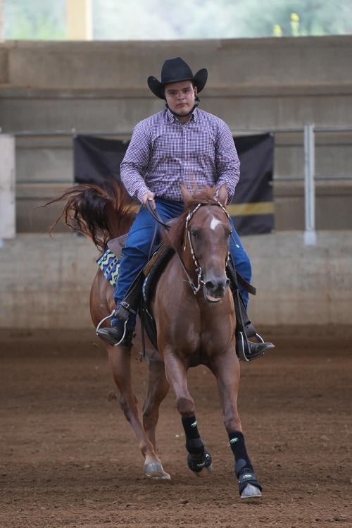 5 show ACRP 2026 - MEULI GIULIO ANTONIO &amp; GD REMEDY PLANET score 68