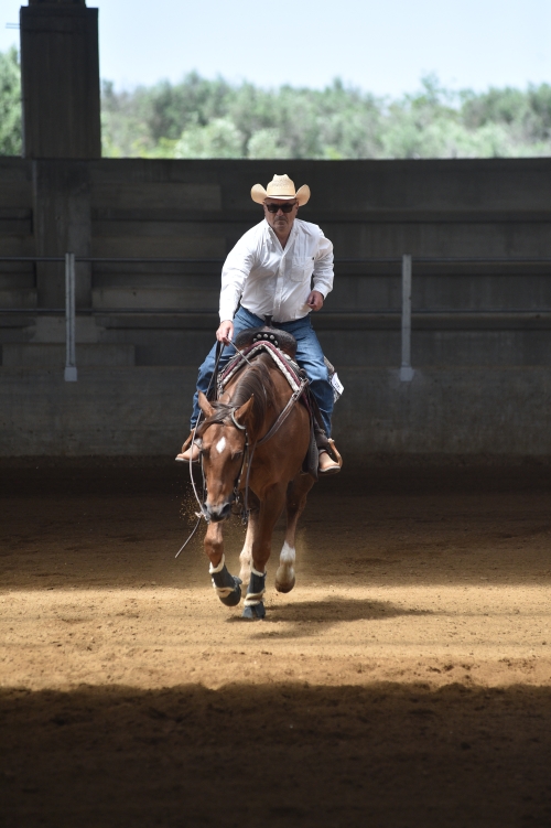 3 show ACRP 2026 - LOSURDO NICOLA &amp; JOHNNY GUNNACASH score 64,5