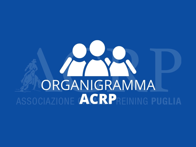 Organigramma
