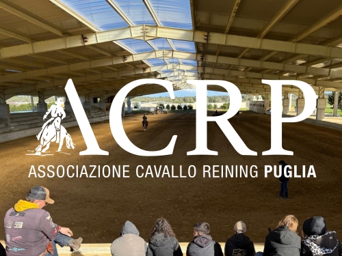 Ordini di partenza paytime 3 show ACRP-IRHA-FISE 2026