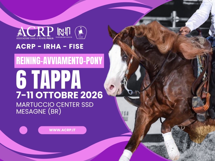 6 show ACRP-IRHA-FISE 2026